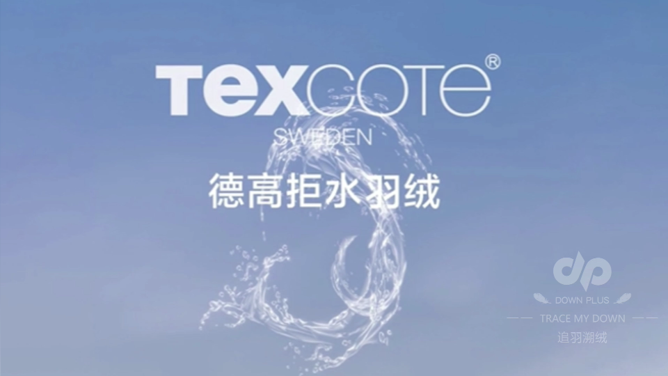 白鸭绒（德高拒水处理）