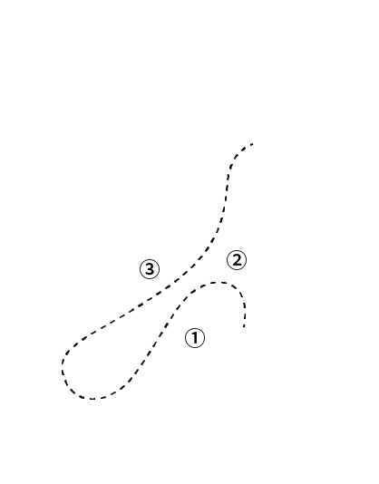 鹅的历史 <br /> 美国的《环球科学》杂志报道,2.2亿年前,鹅的祖先与恐龙同伴;科学家们发现了7000万年前的鹅化石。