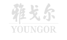 匈牙利白鹅绒(商品鹅)