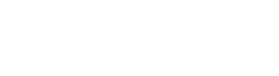 波兰科鲁达白鹅绒