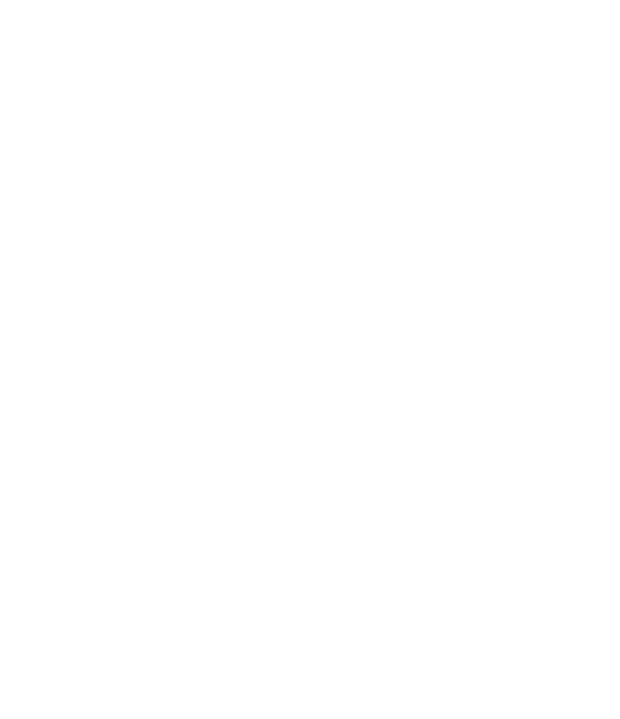 浙东白鹅绒